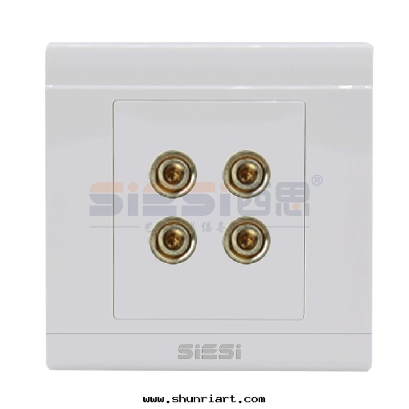二(èr)位(wèi)四(sì)孔音(yīn)響插座