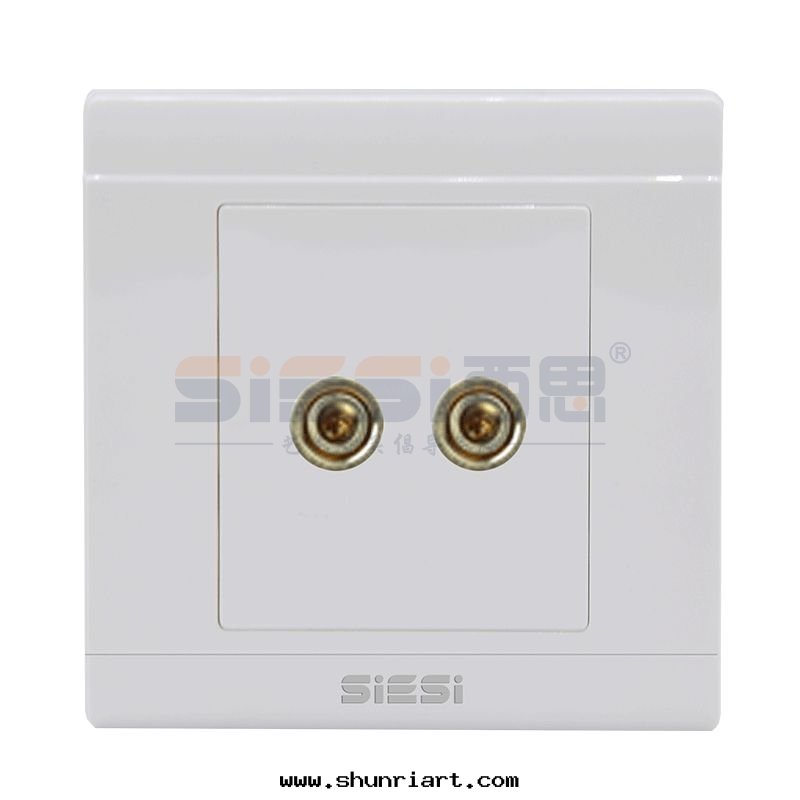 一(yī)位(wèi)两(liǎng)孔音(yīn)響插座