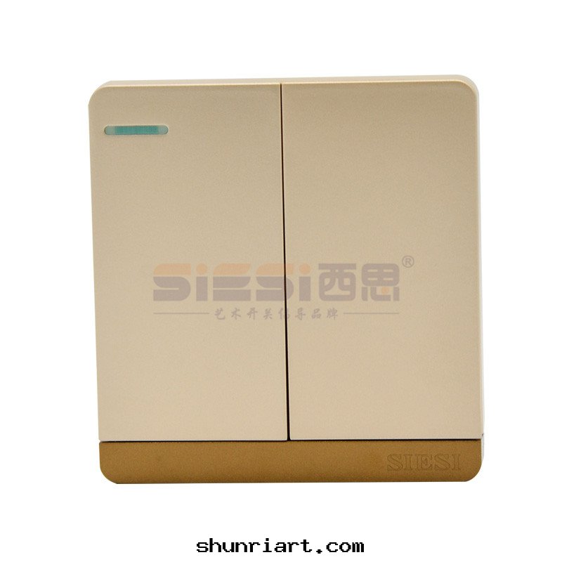 10A二(èr)位(wèi)單控開(kāi)關(guān)