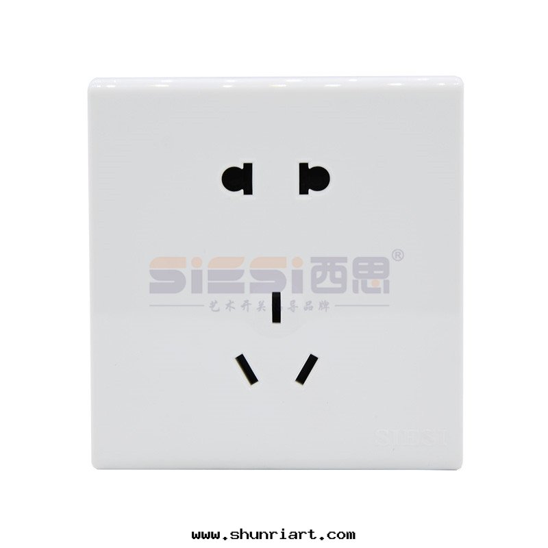 10A二(èr)三(sān)极(jí)插座