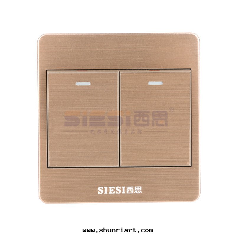 10A二(èr)位(wèi)單控開(kāi)關(guān)