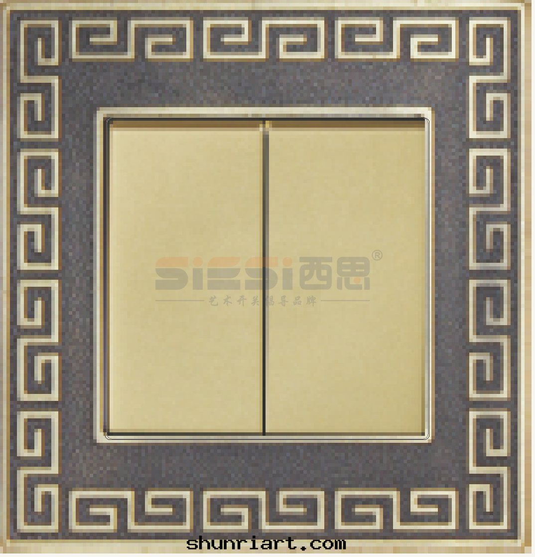 10A二(èr)位(wèi)單控