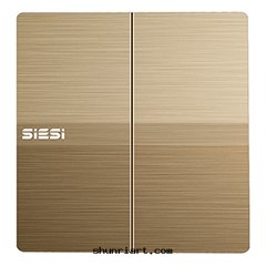 10A二(èr)位(wèi)（單/双(shuāng)）控開(kāi)關(guān)