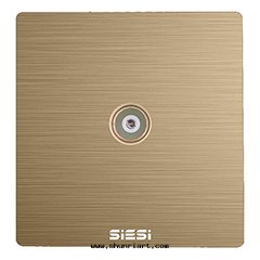 一(yī)位(wèi)電(diàn)视插座/带(dài)分(fēn)支