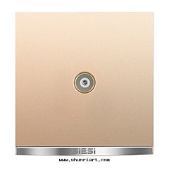 一(yī)位(wèi)電(diàn)視插座/带(dài)分(fēn)支