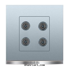 两(liǎng)位(wèi)四(sì)孔音(yīn)響