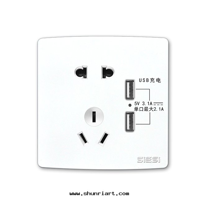 二(èr)三(sān)极(jí)插座带(dài)双(shuāng)USB